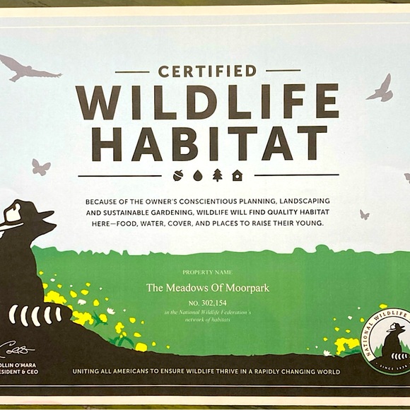 White Sage Stick Organic Dried Floral Hand Crafted Home Decor 8” Sachet New - Picture 16 of 17